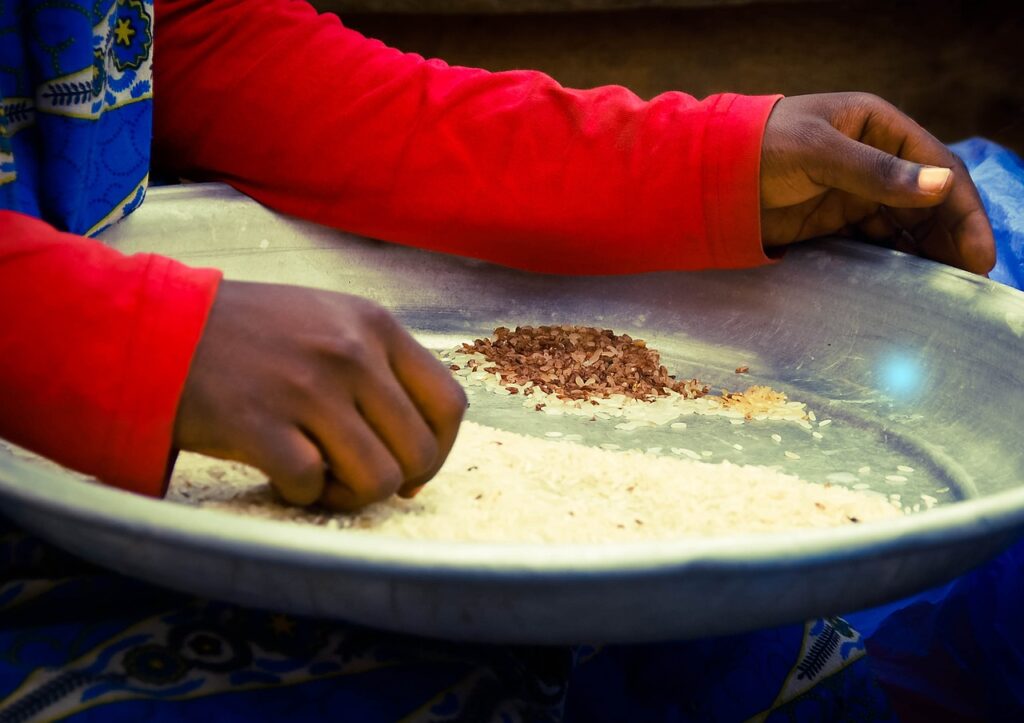 ghana, market woman, rice, trader, ghana, ghana, ghana, ghana, ghana